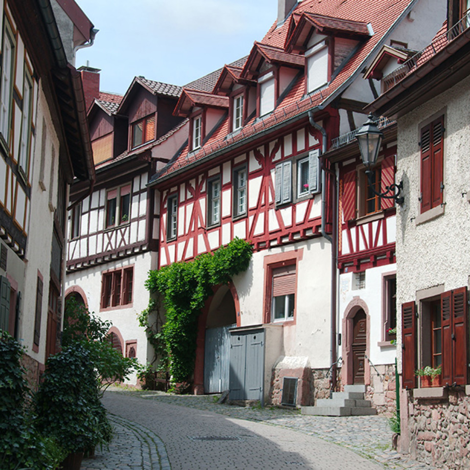 Altbau­sanierung bei P&N Elektromeister OHG in Mühlheim am Main